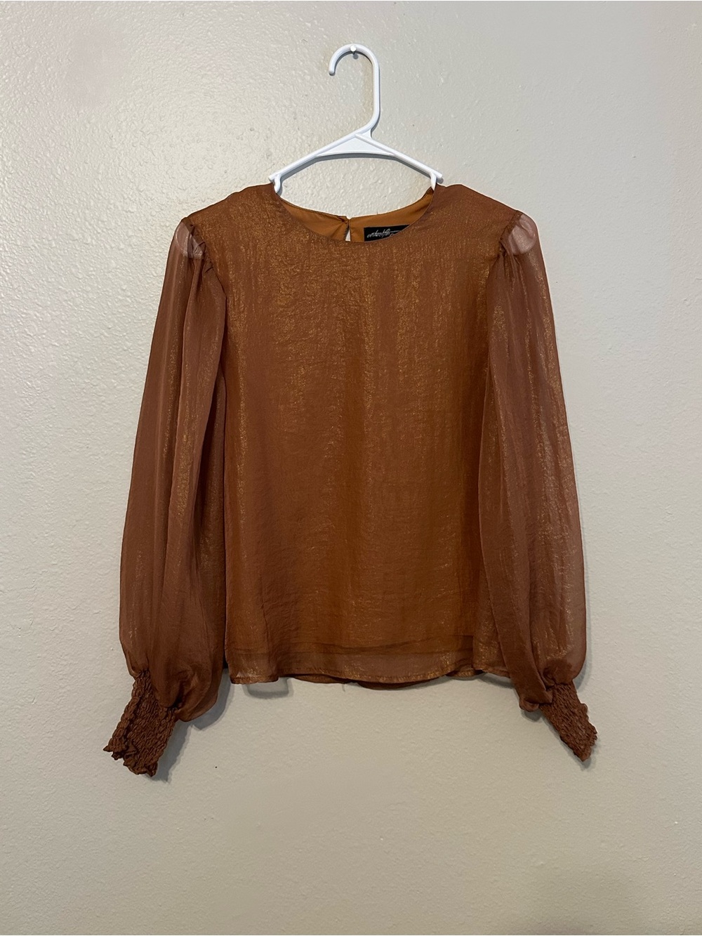 Long-Sleeve Sheer Blouse in Rust